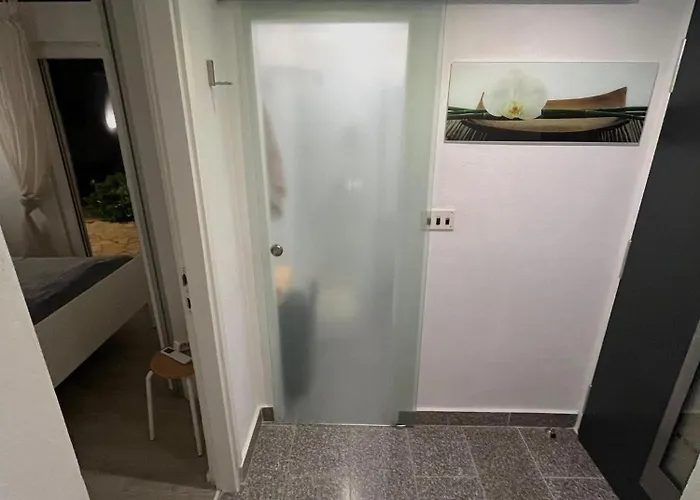 Pupa *